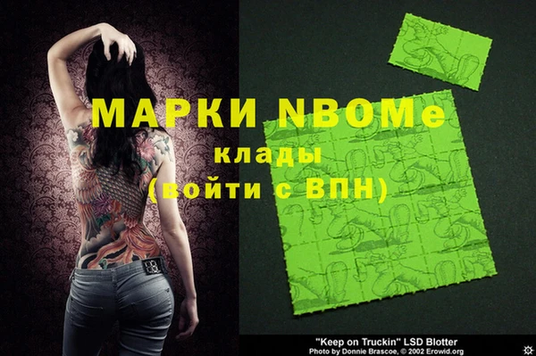 стафф Алзамай