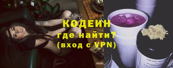 дмт Ельня