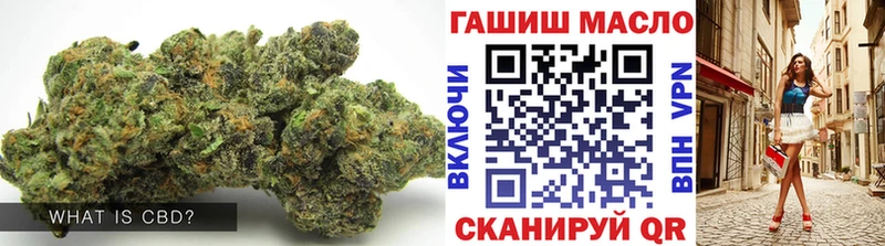 mega ТОР Северодвинск ТГК концентрат